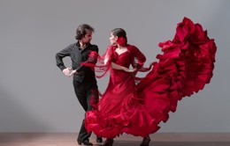 flamenco.original