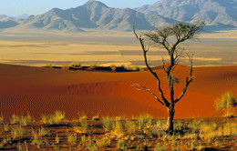 namibija.original