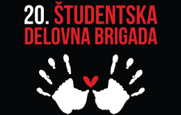 študentska delovna brigada